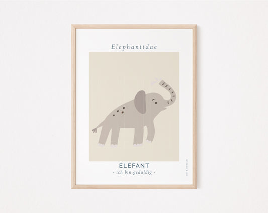 Elefant Edgar 02 Cool Kids Collection