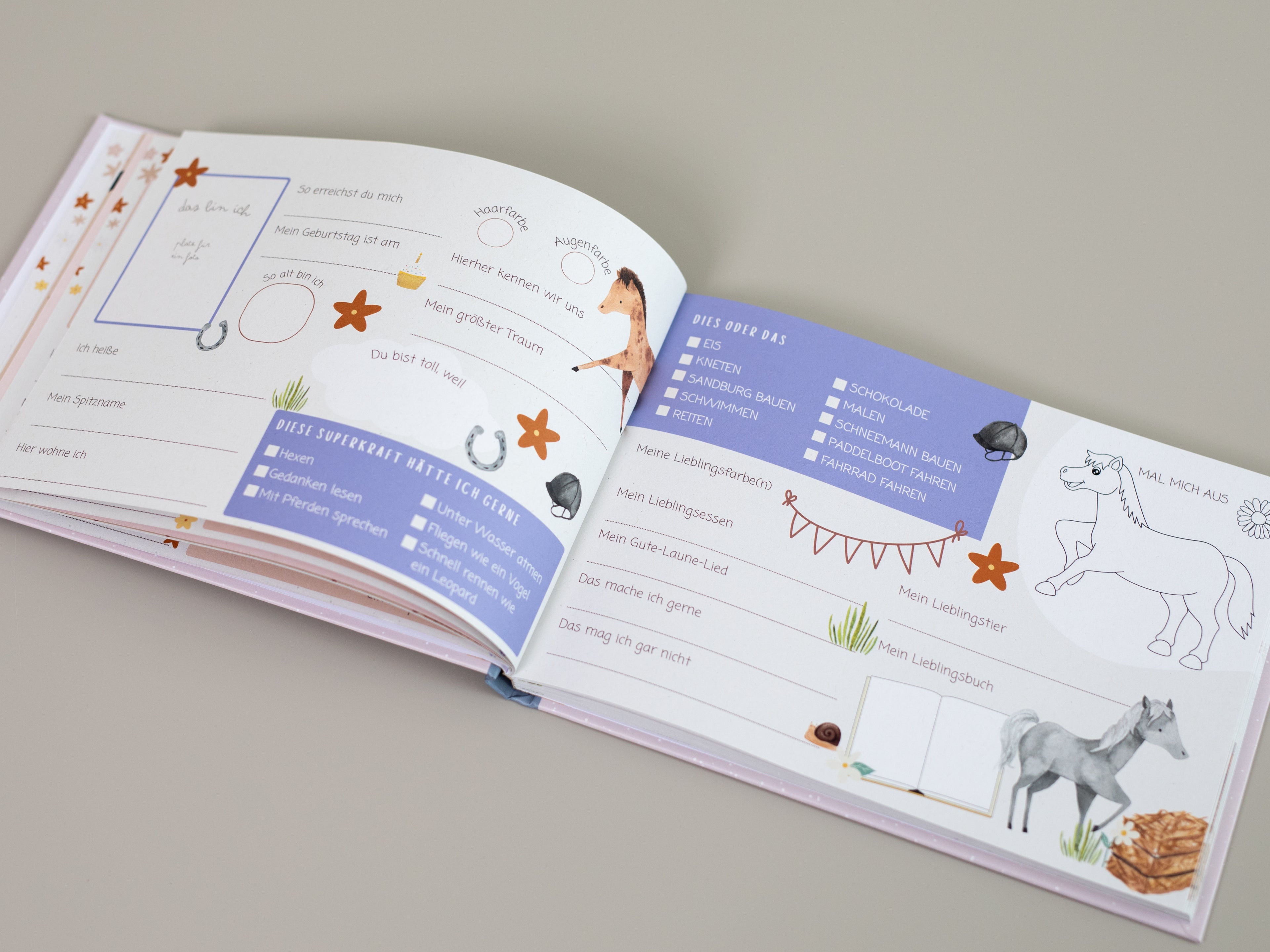 Freundebuch Pferde Meine liebsten Freunde Querformat A5