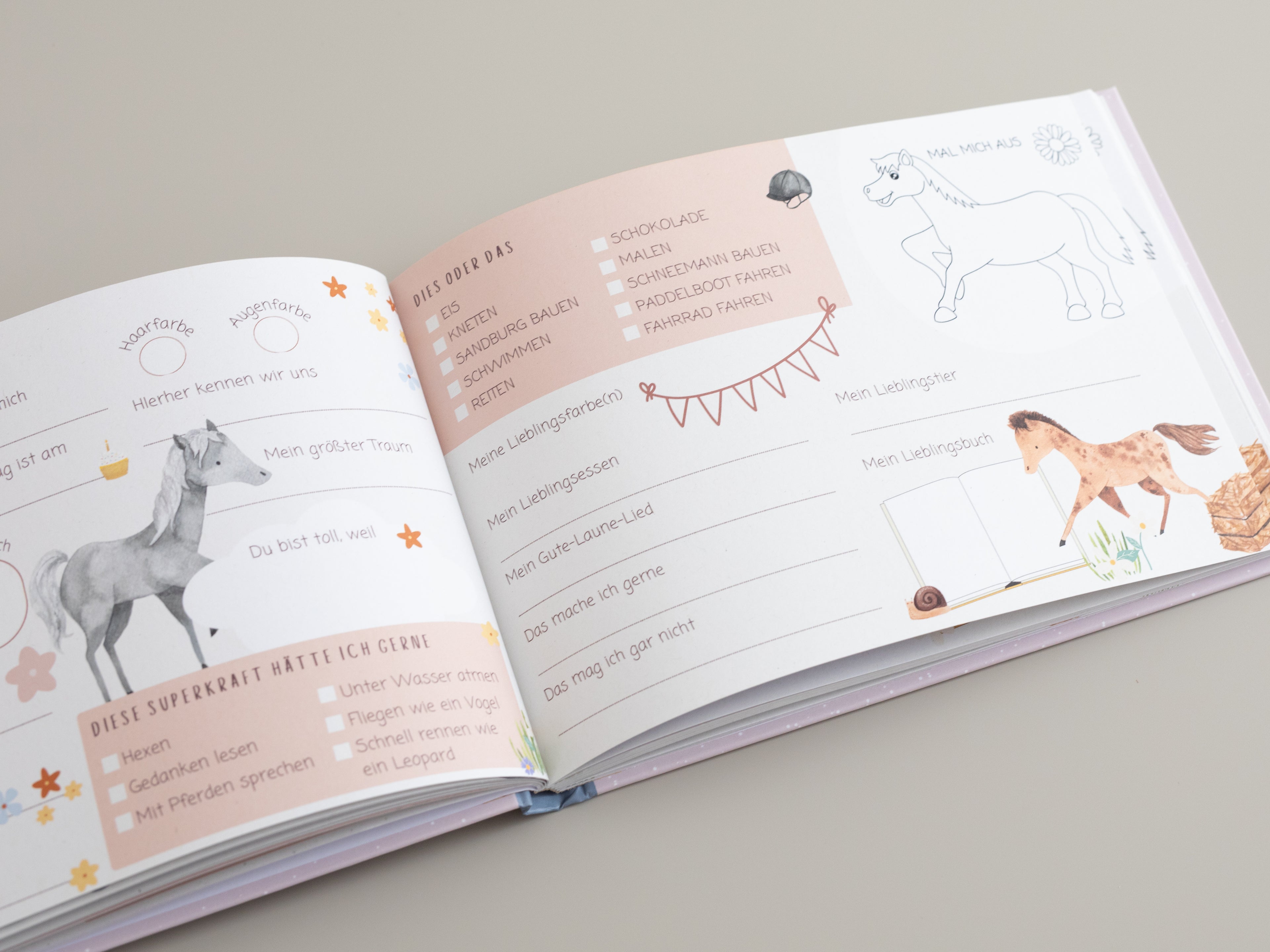 Freundebuch Pferde Meine liebsten Freunde Querformat A5