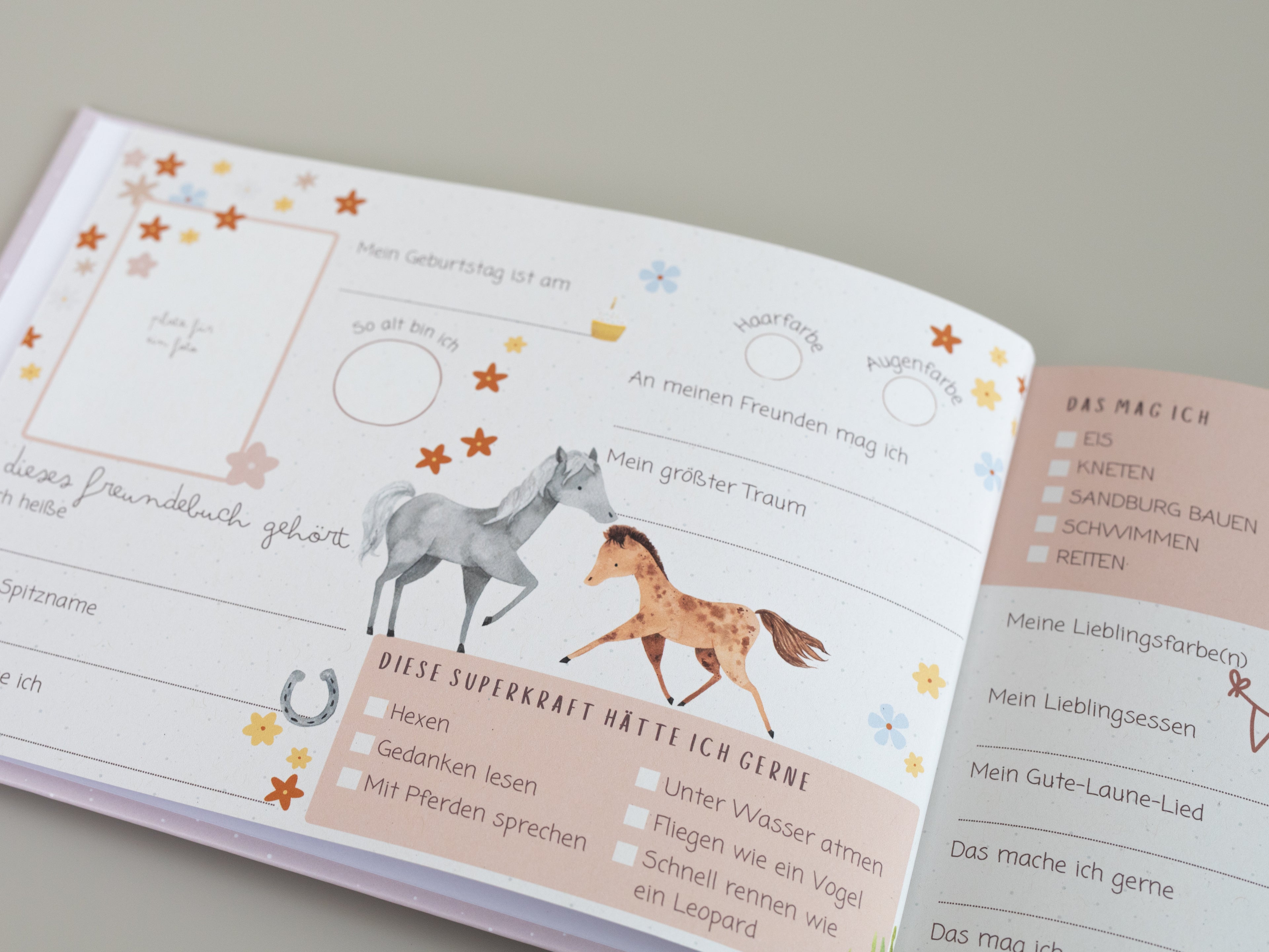Freundebuch Pferde Meine liebsten Freunde Querformat A5
