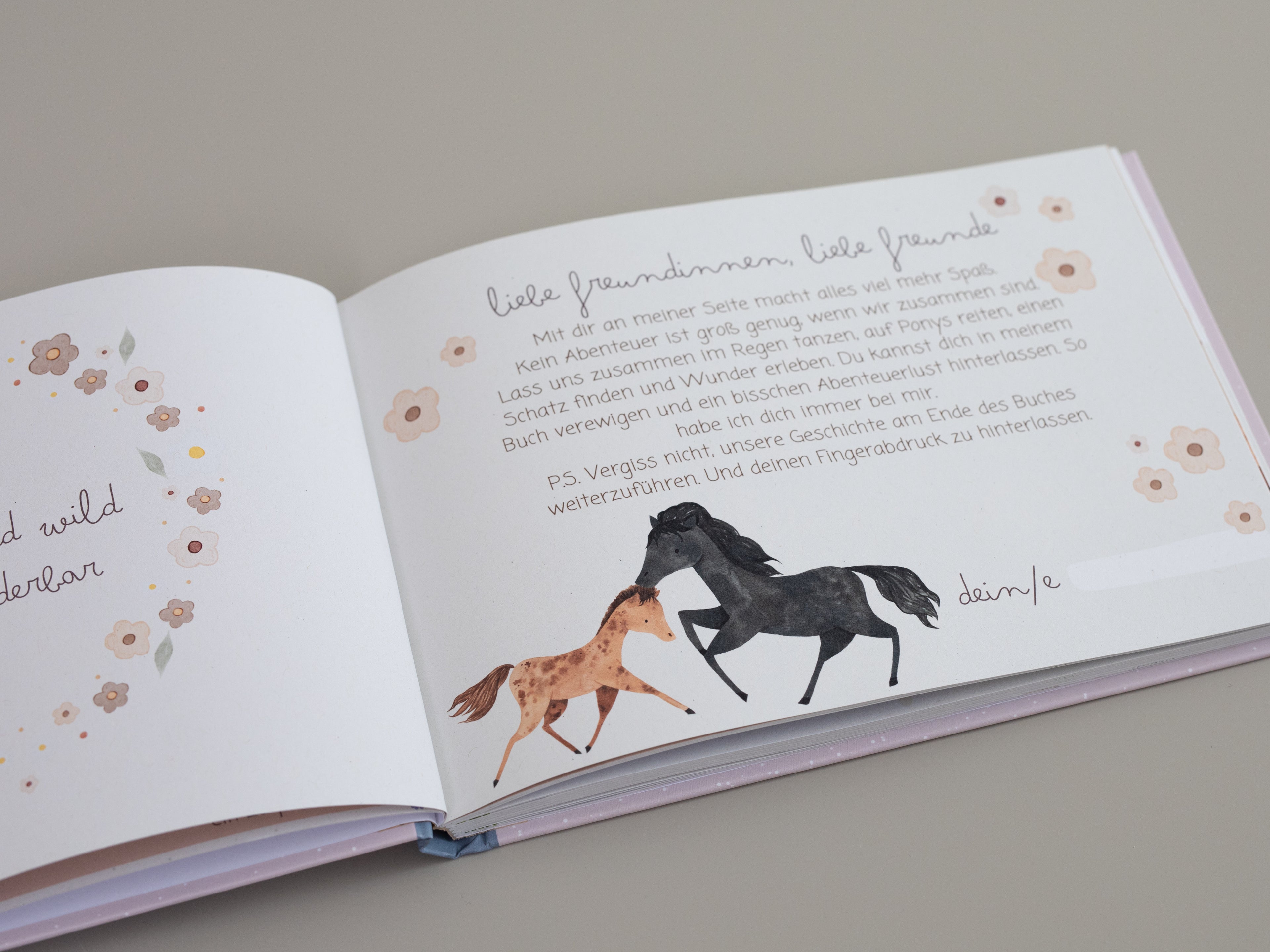 Freundebuch Pferde Meine liebsten Freunde Querformat A5