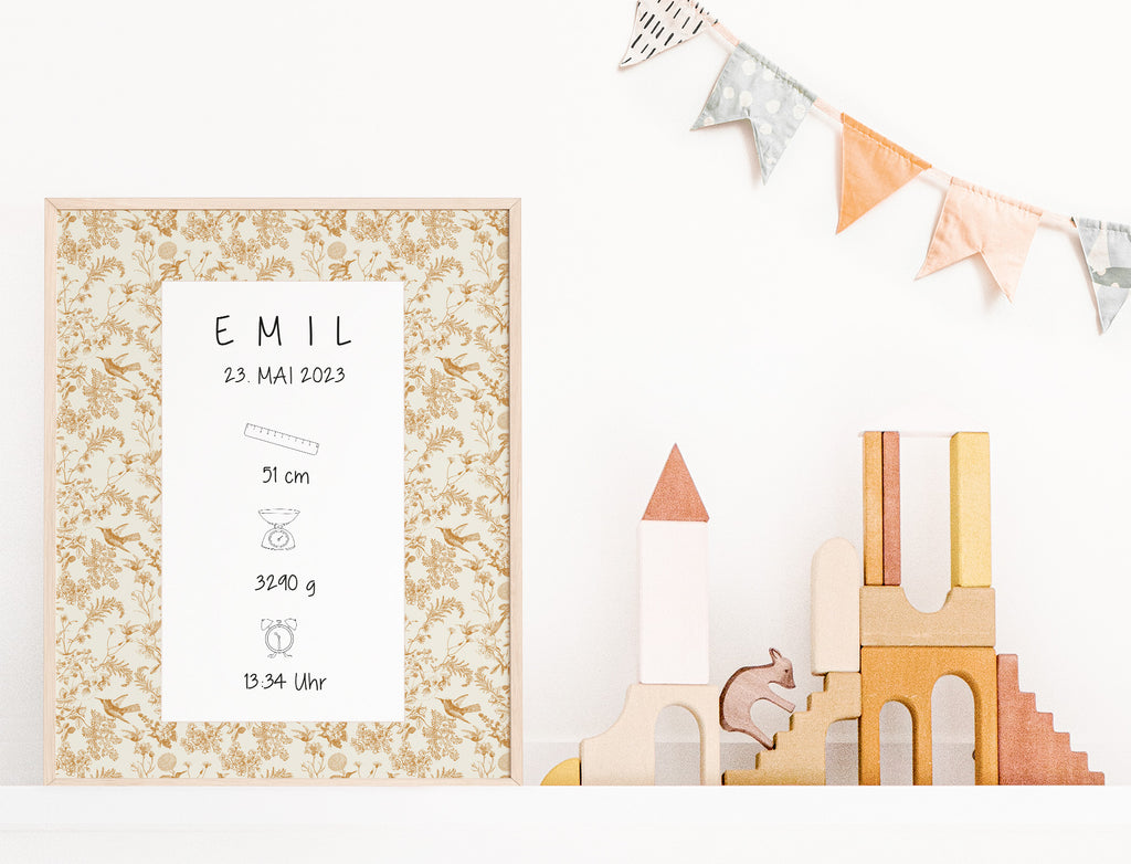 Geburtsposter Emil