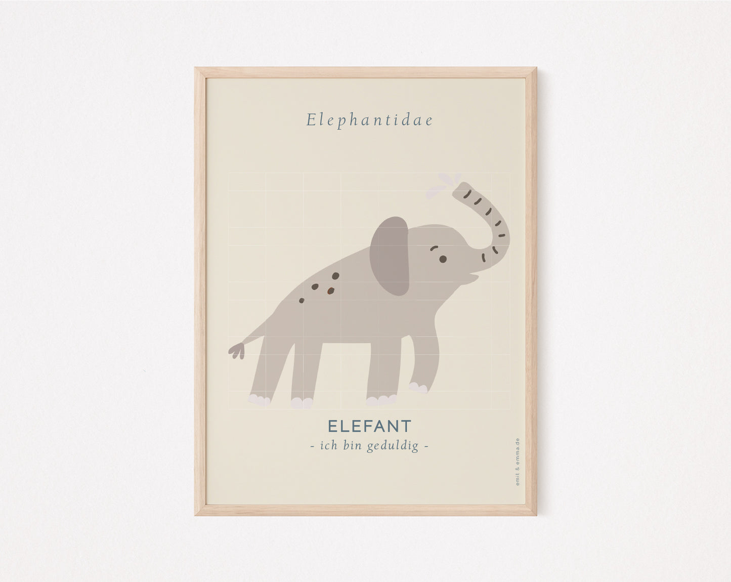 Elefant Cool Kids Collection