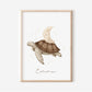 Schildkröte dreamy Poster A4 & A3