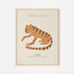 Posterset Safari Tiere Cool Kids Collection